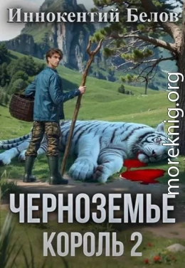 Черноземье. Король 2