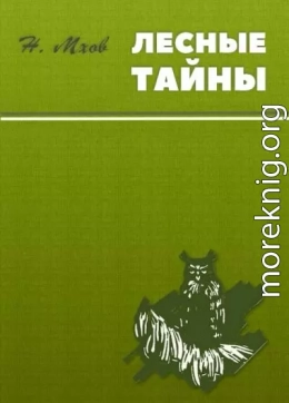 Лесные тайны