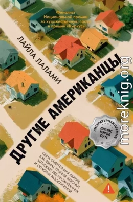 Другие американцы