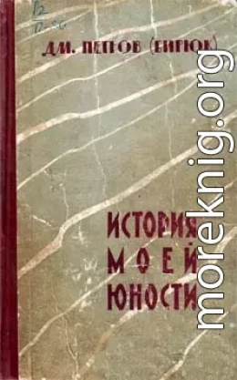 История моей юности