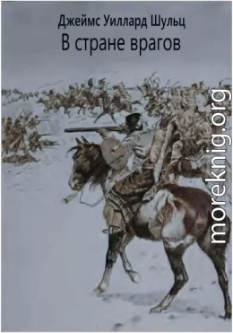 В стране врагов