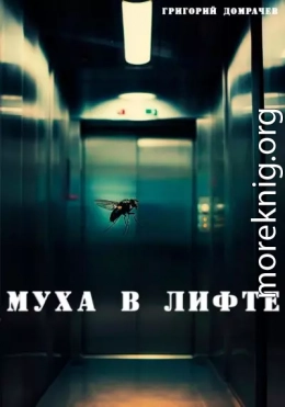 Муха в лифте