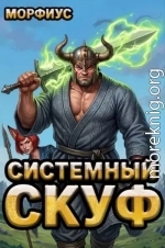 Системный скуф 2