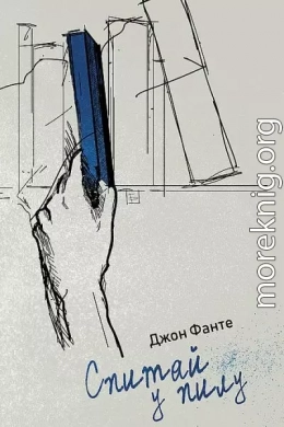 Спитай у пилу