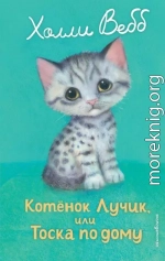 Котёнок Лучик, или Тоска по дому