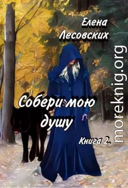 Собери мою душу. Книга 2