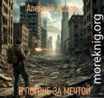 В погоне за мечтой