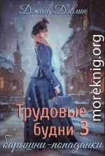 Трудовые будни барышни-попаданки 3