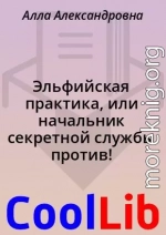 Эльфийская практика, или начальник секретной службы против!