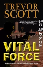 Жизненная сила