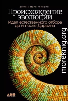 Происхождение эволюции. Идея естественного отбора до и после Дарвина