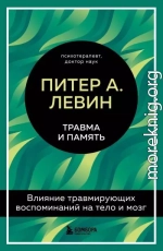Травма и память. Влияние травмирующих воспоминаний на тело и мозг