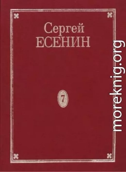 Том 7. Книга 2. Дополнения к 1–7 томам. Рукою Есенина. Деловые бумаги. Афиши и программы вечеров