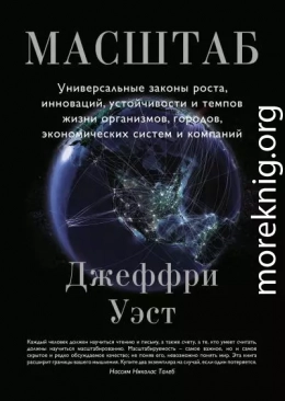 Масштаб. Универсальные законы роста, инноваций, устойчивости и темпов жизни организмов, городов, экономических систем и компаний