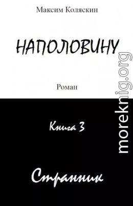 Наполовину. Книга 3. Странник