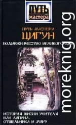 Путь мастера ЦИГУН. Подвижничество Великого Дао. История жизни учителя Ван Липина, отшельника в миру