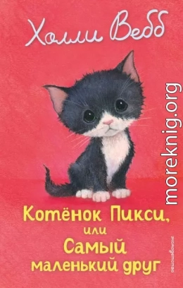 Котёнок Пикси, или Самый маленький друг