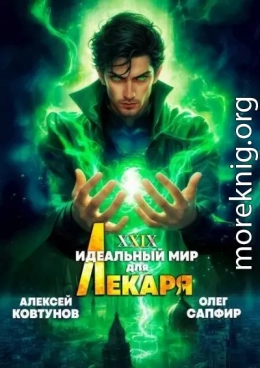 Идеальный мир для Лекаря 29
