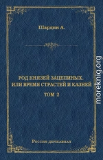 Род князей Зацепиных, или Время страстей и князей. Том 2