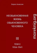 Необыкновенная жизнь обыкновенного человека. Книга 3. Том 2