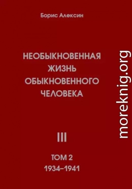 Необыкновенная жизнь обыкновенного человека. Книга 3. Том 2