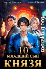 Младший сын князя. Том 10