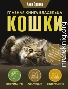 Главная книга владельца кошки