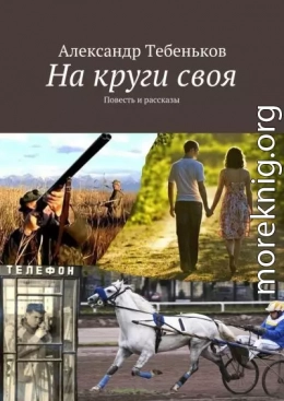 На круги своя. Повесть и рассказы