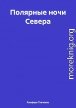 Полярные ночи Севера