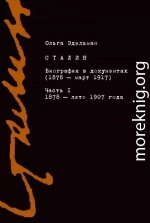 Сталин. Биография в документах (1878 – март 1917). Часть I: 1878 – лето 1907 года