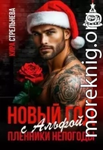 Новый год с Альфой. Пленники непогоды