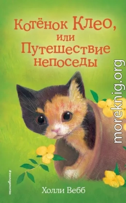 Котёнок Клео, или Путешествие непоседы