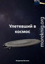 Улетевший в космос