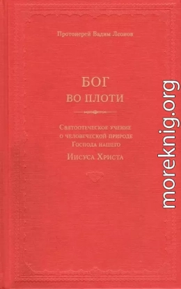 Бог во плоти. Святоотеческое учение о человеческой природе Господа нашего Иисуса Христа