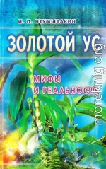 Золотой ус: мифы и реальность