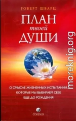 План твоей души. О смысле жизненных испытаний, которые мы выбираем себе еще до рождения