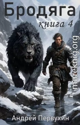 Бродяга Книга четвертая