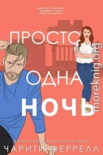 Просто одна ночь (ЛП)