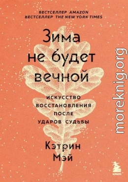 Зима не будет вечной. Искусство восстановления после ударов судьбы