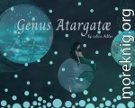 Genus Atargatæ (ЛП)