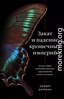 Закат и падение крошечных империй. Почему гибель насекомых угрожает существованию жизни на планете