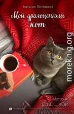 Мой драгоценный кот