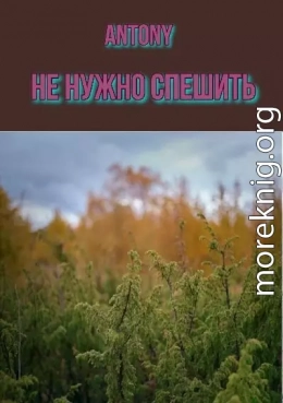 Не нужно спешить