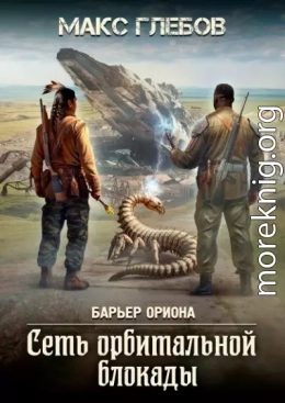 Сеть орбитальной блокады
