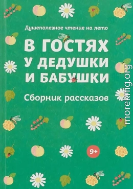 В гостях у дедушки и бабушки (Сборник рассказов)