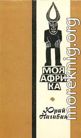 Моя Африка