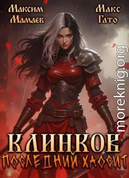 Клинков. Последний хаосит 5