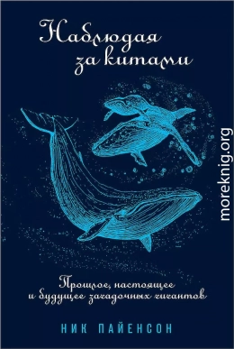 Наблюдая за китами. Прошлое, настоящее и будущее загадочных гигантов