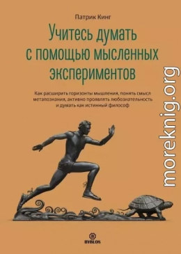 Учитесь думать с помощью мысленных экспериментов. Как расширить горизонты мышления, понять смысл метапознания, активно проявлять любознательность и думать как истинный философ