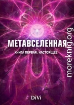 Метавселенная. Книга первая: настоящее